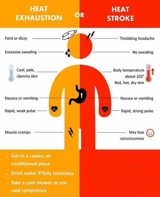 Heat-Stroke-IMG3