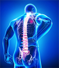 Occupational-Spine-Injurie